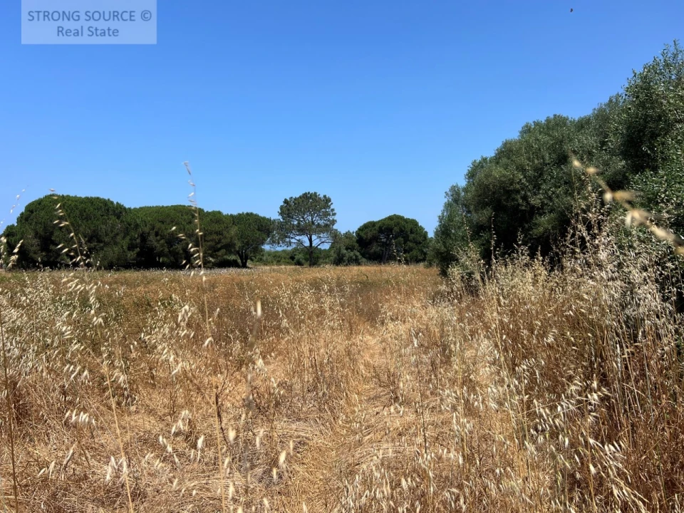 Terreno Agricola ou Rústico para Venda em Sesimbra (Castelo) Foto 32