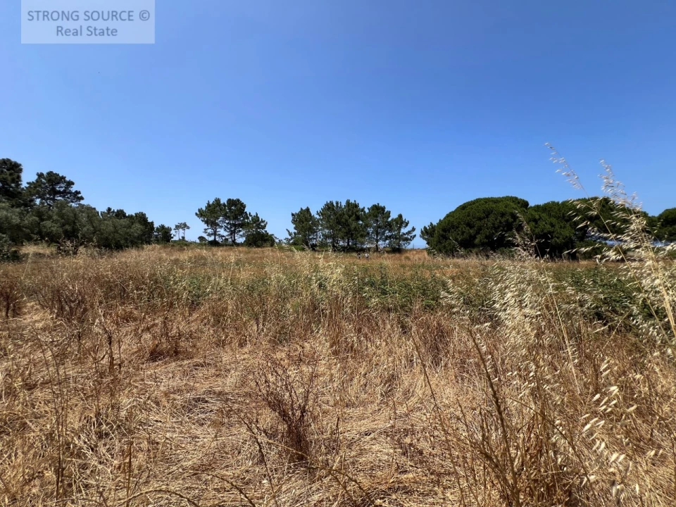 Terreno Agricola ou Rústico para Venda em Sesimbra (Castelo) Foto 34
