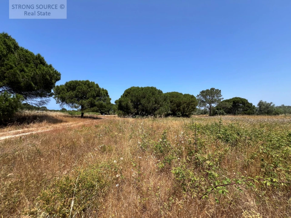 Terreno Agricola ou Rústico para Venda em Sesimbra (Castelo) Foto 35