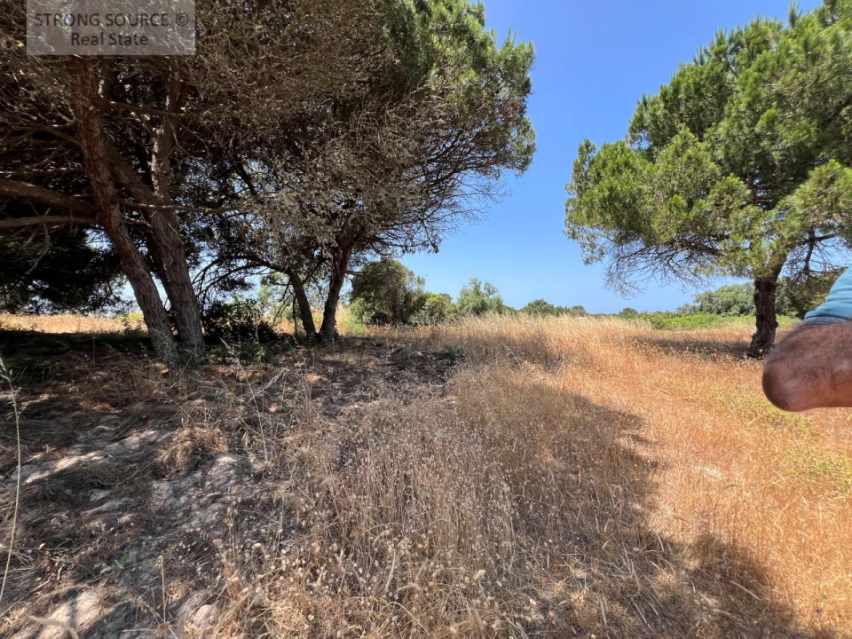 Terreno Agricola ou Rústico para Venda em Sesimbra (Castelo) Foto 36