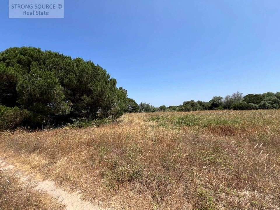 Terreno Agricola ou Rústico para Venda em Sesimbra (Castelo) Foto 37