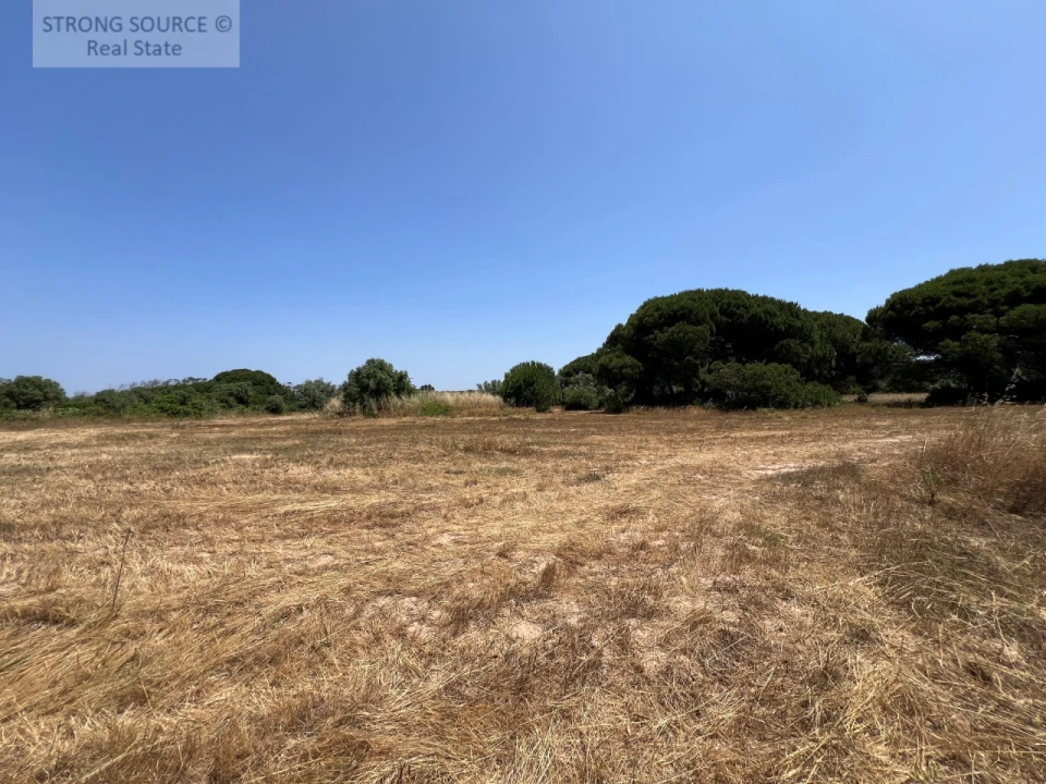 Terreno Agricola ou Rústico para Venda em Sesimbra (Castelo) Foto 38