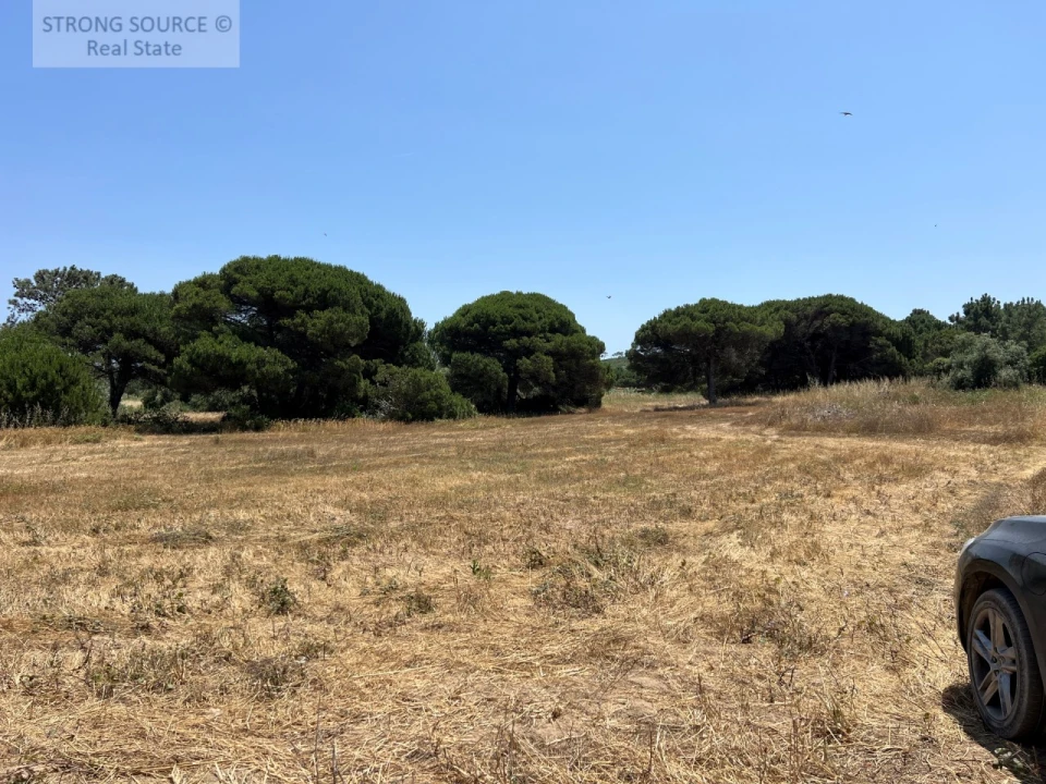 Terreno Agricola ou Rústico para Venda em Sesimbra (Castelo) Foto 40
