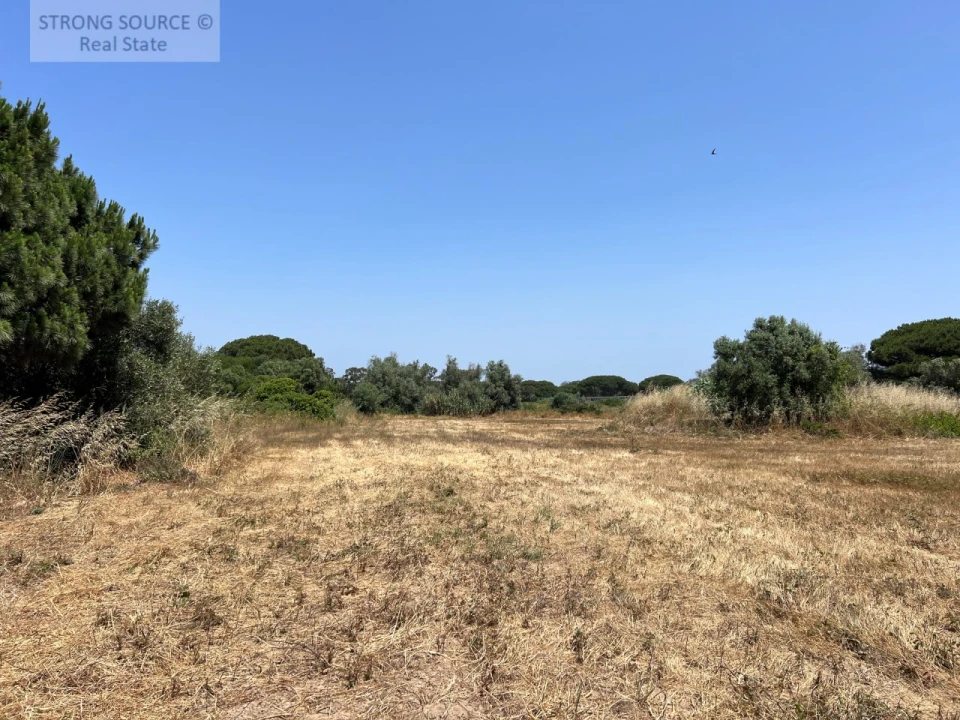 Terreno Agricola ou Rústico para Venda em Sesimbra (Castelo) Foto 41