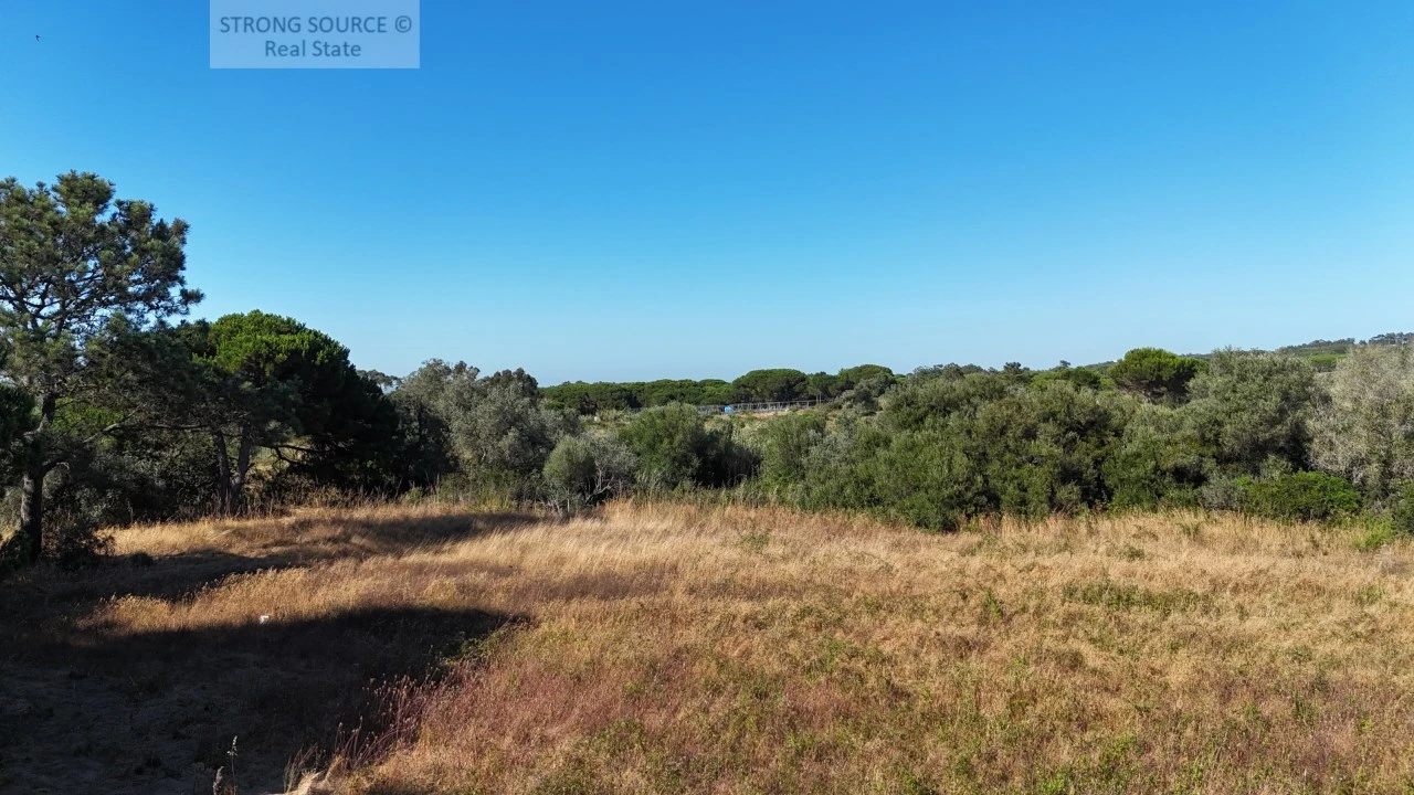 Terreno Agricola ou Rústico para Venda em Sesimbra (Castelo) Foto 19