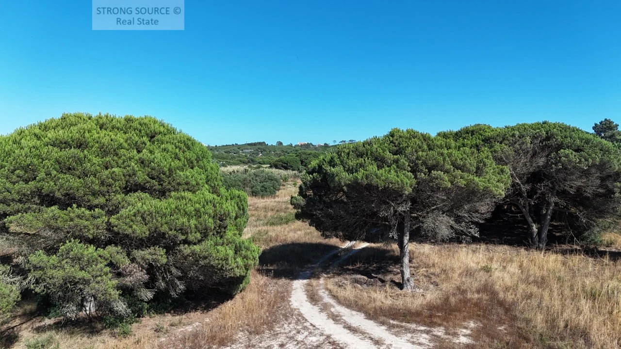Terreno Agricola ou Rústico para Venda em Sesimbra (Castelo) Foto 22