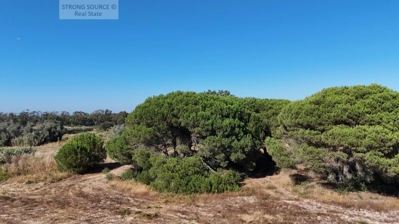 Terreno Agricola ou Rústico para Venda em Sesimbra (Castelo) Foto 23