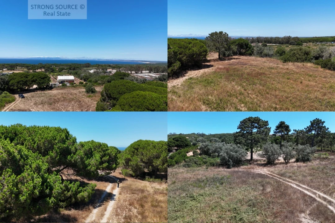 Terreno Agricola ou Rústico para Venda em Sesimbra (Castelo) Foto 1