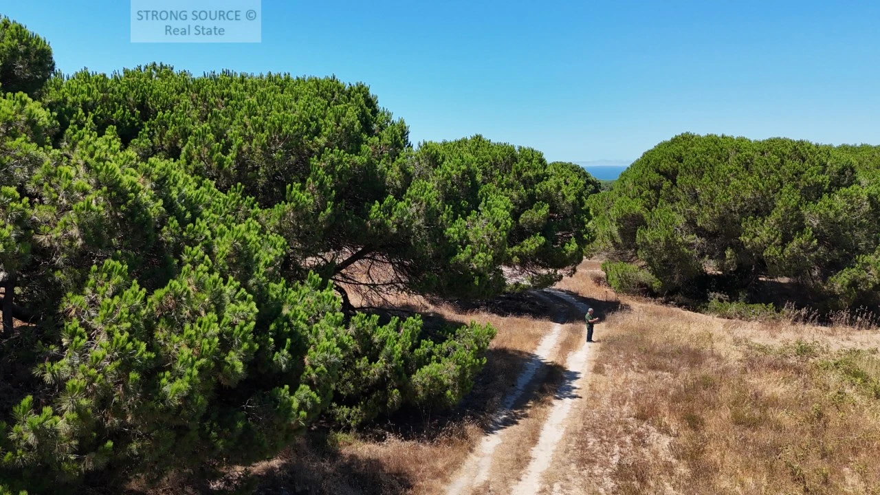 Terreno Agricola ou Rústico para Venda em Sesimbra (Castelo) Foto 4