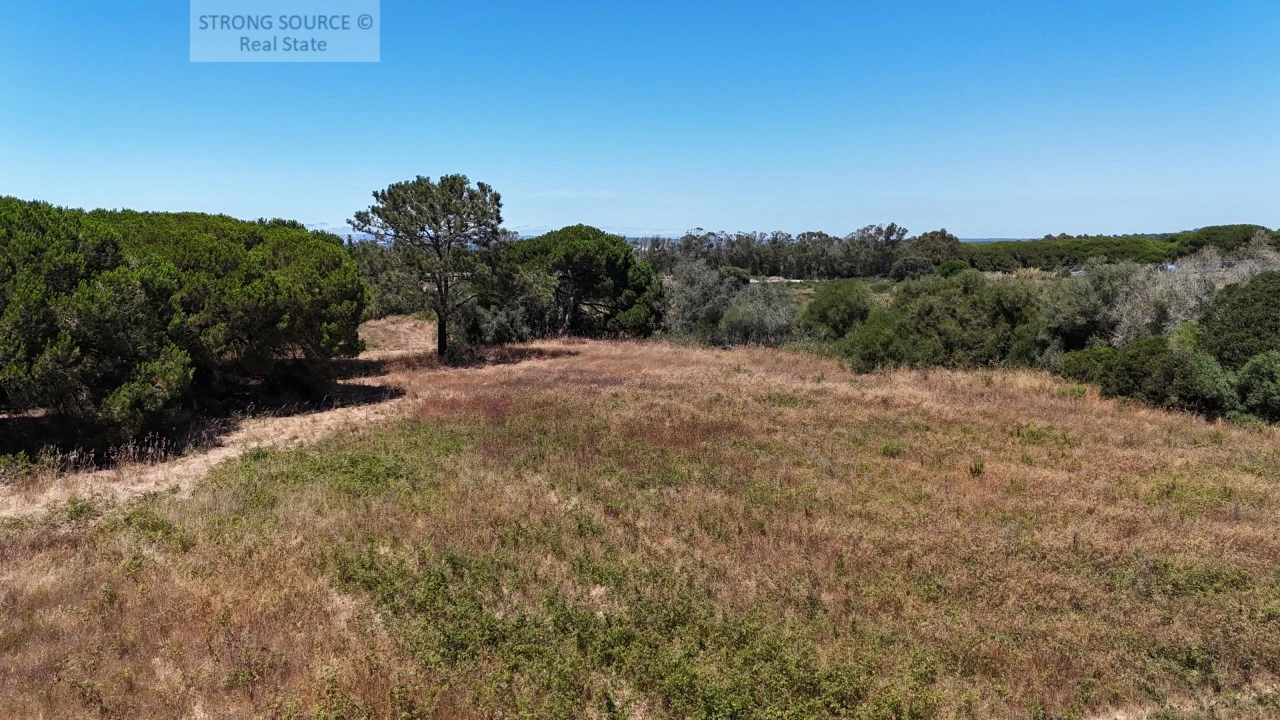 Terreno Agricola ou Rústico para Venda em Sesimbra (Castelo) Foto 8