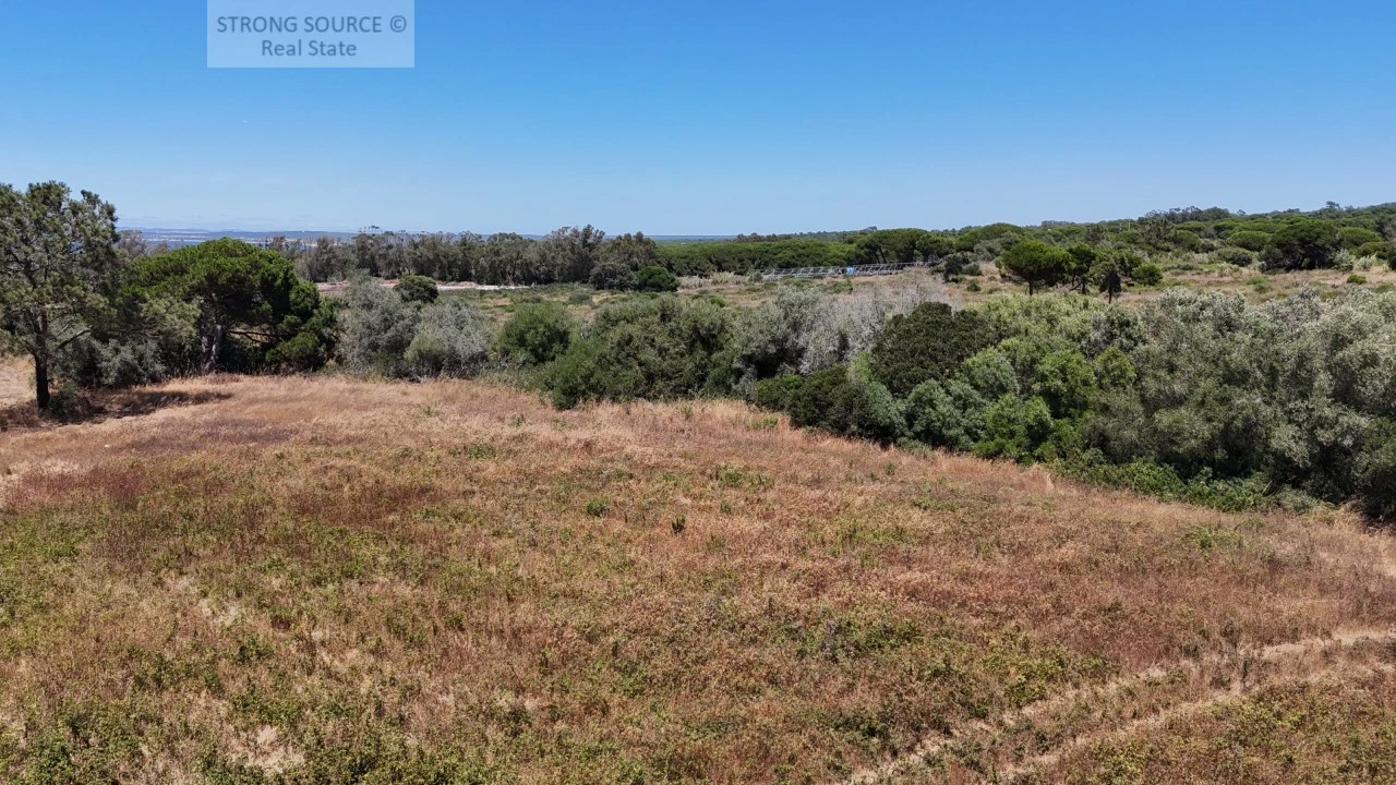 Terreno Agricola ou Rústico para Venda em Sesimbra (Castelo) Foto 9
