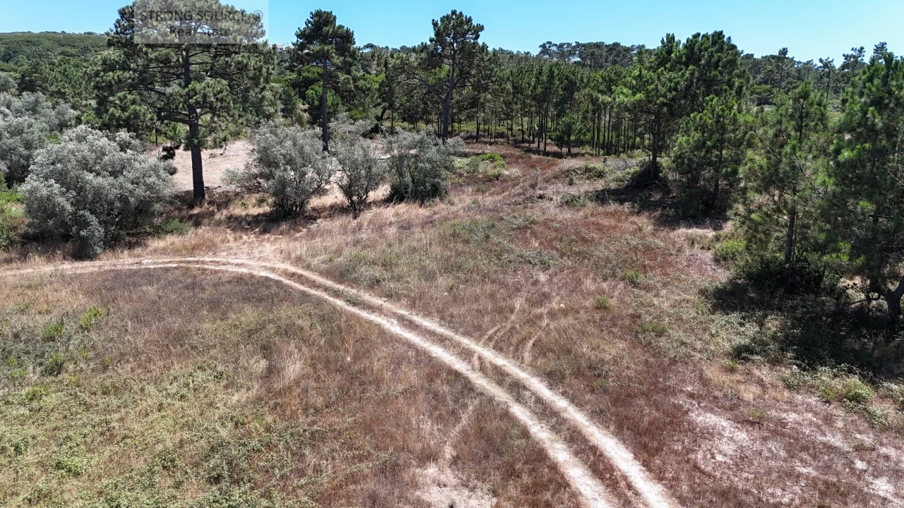 Terreno Agricola ou Rústico para Venda em Sesimbra (Castelo) Foto 11