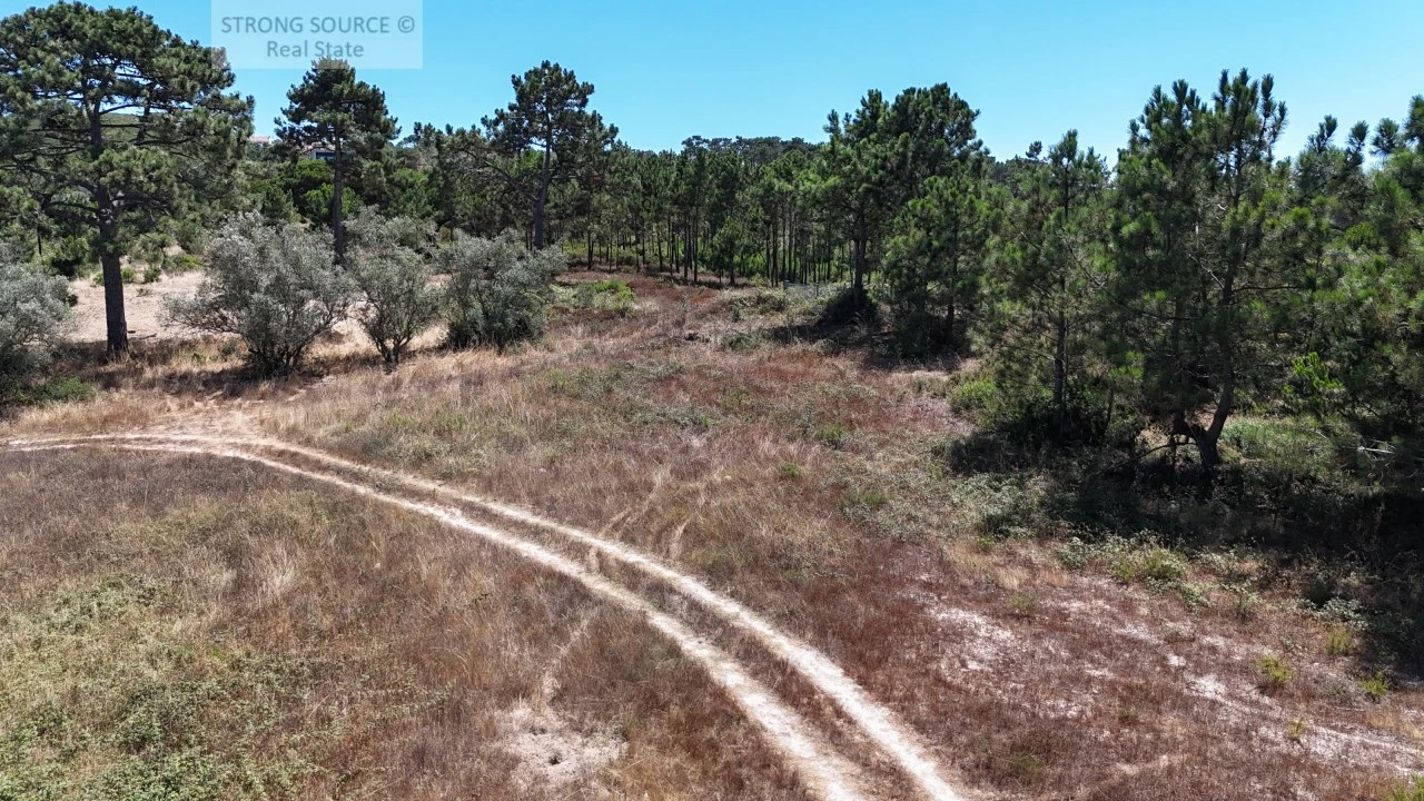 Terreno Agricola ou Rústico para Venda em Sesimbra (Castelo) Foto 12