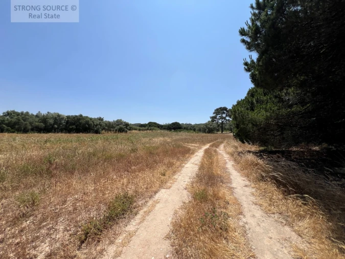 Terreno Agricola ou Rústico para Venda em Sesimbra (Castelo) Foto 27