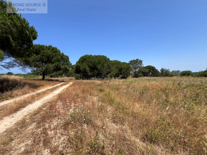 Terreno Agricola ou Rústico para Venda em Sesimbra (Castelo) Foto 28