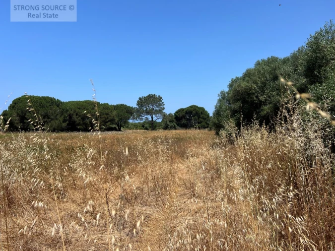 Terreno Agricola ou Rústico para Venda em Sesimbra (Castelo) Foto 32