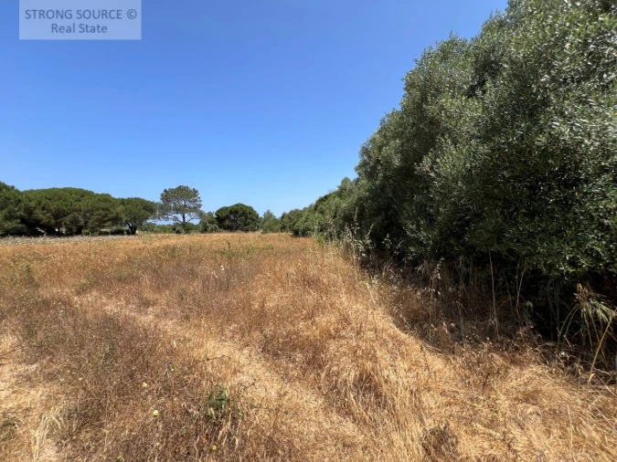 Terreno Agricola ou Rústico para Venda em Sesimbra (Castelo) Foto 33