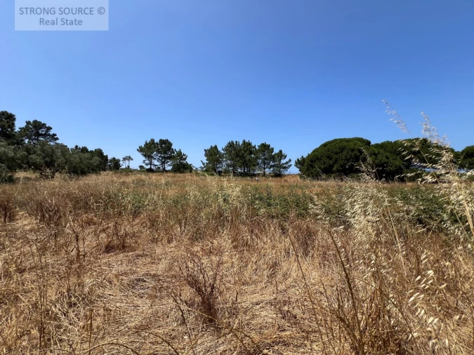 Terreno Agricola ou Rústico para Venda em Sesimbra (Castelo) Foto 34