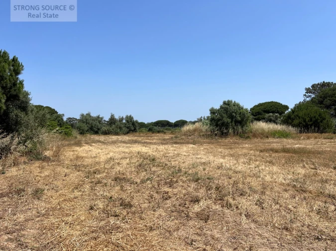 Terreno Agricola ou Rústico para Venda em Sesimbra (Castelo) Foto 39