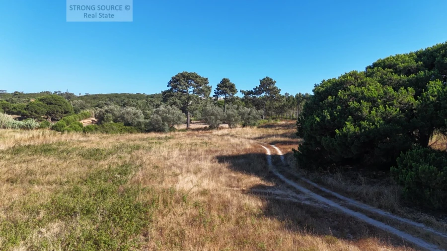 Terreno Agricola ou Rústico para Venda em Sesimbra (Castelo) Foto 17