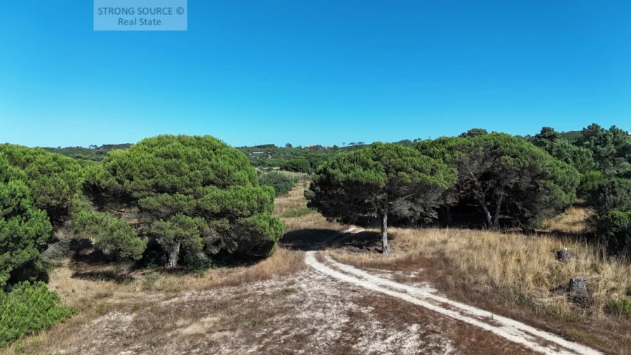 Terreno Agricola ou Rústico para Venda em Sesimbra (Castelo) Foto 21