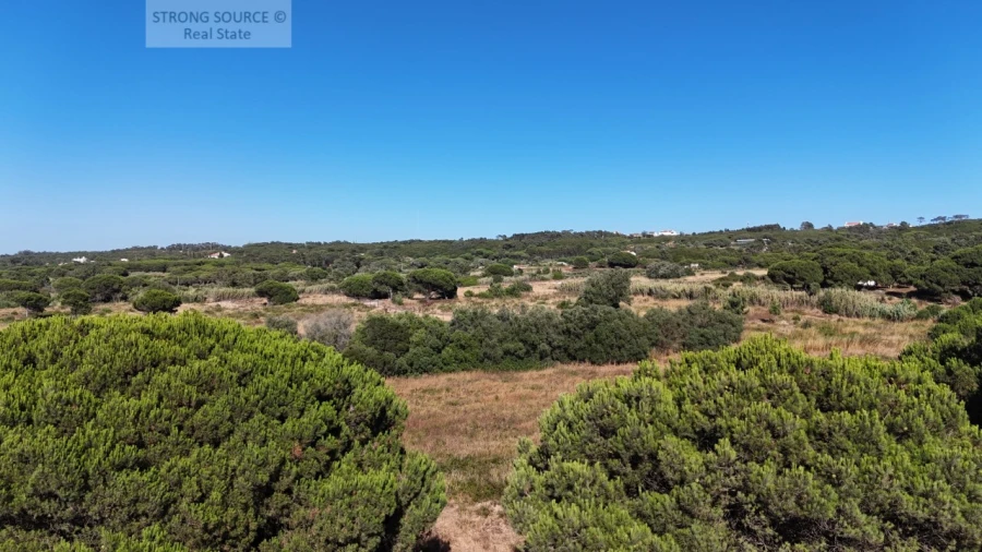 Terreno Agricola ou Rústico para Venda em Sesimbra (Castelo) Foto 24