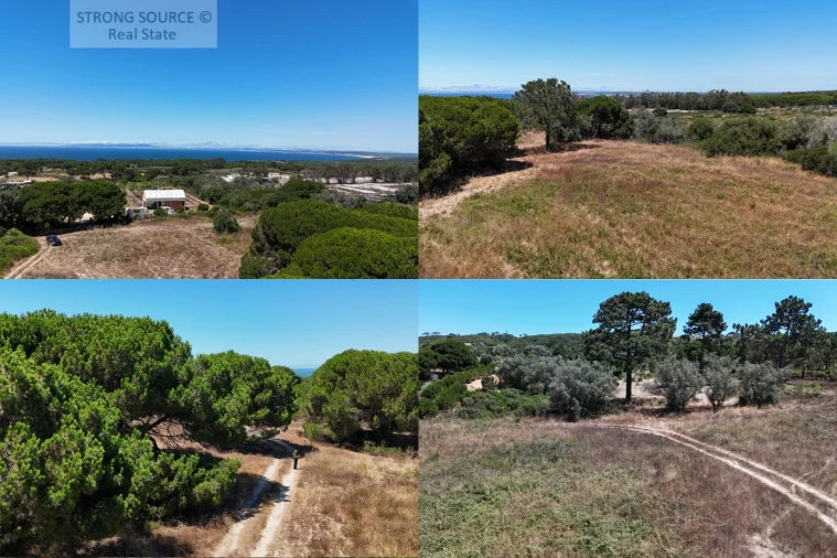 Terreno Agricola ou Rústico para Venda em Sesimbra (Castelo)