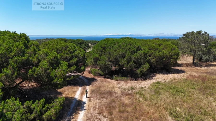 Terreno Agricola ou Rústico para Venda em Sesimbra (Castelo) Foto 3