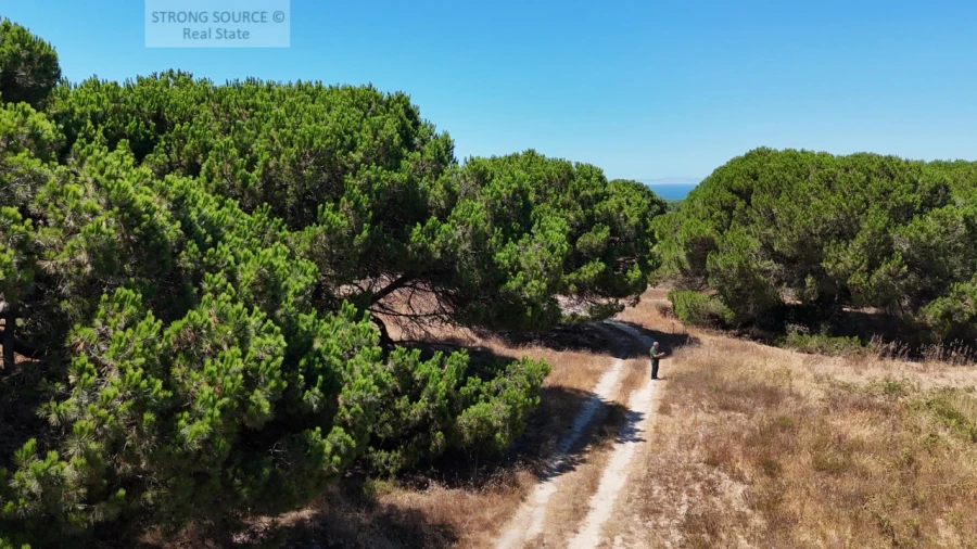 Terreno Agricola ou Rústico para Venda em Sesimbra (Castelo) Foto 4