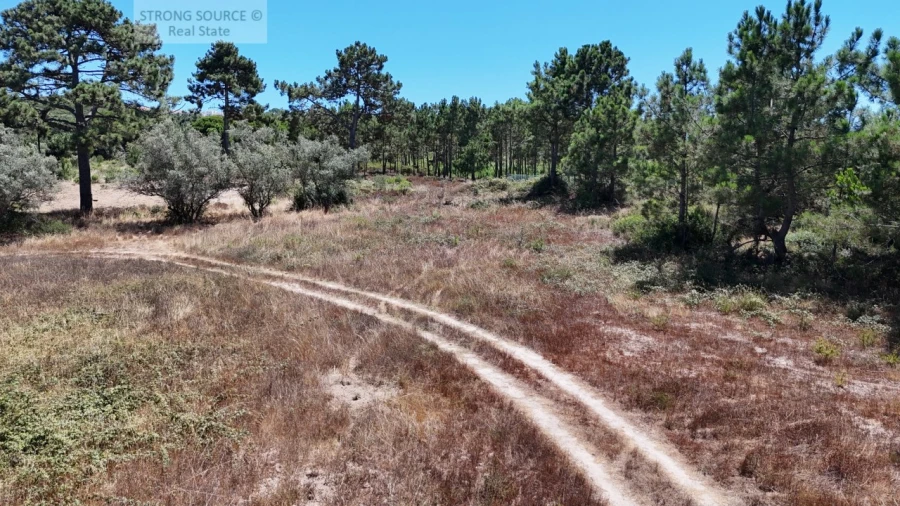 Terreno Agricola ou Rústico para Venda em Sesimbra (Castelo) Foto 10