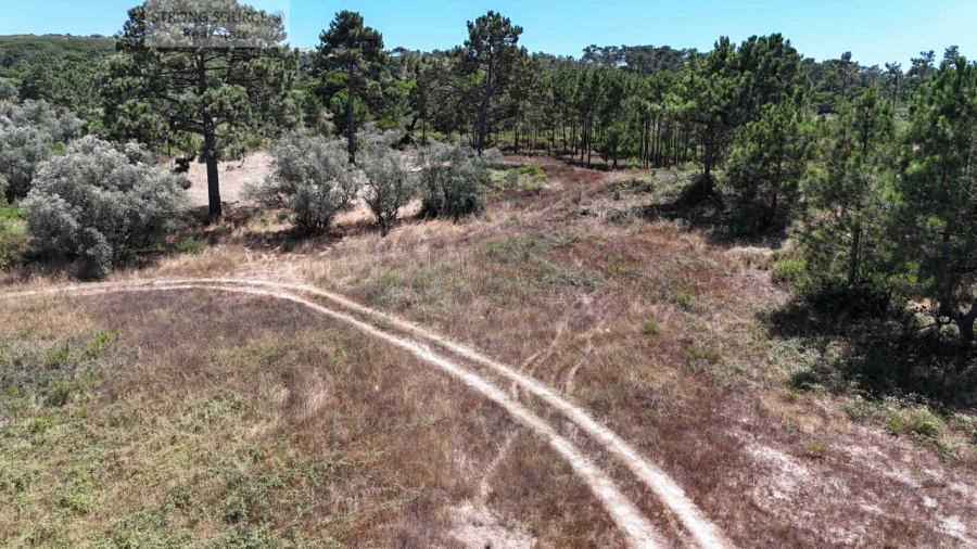 Terreno Agricola ou Rústico para Venda em Sesimbra (Castelo) Foto 11