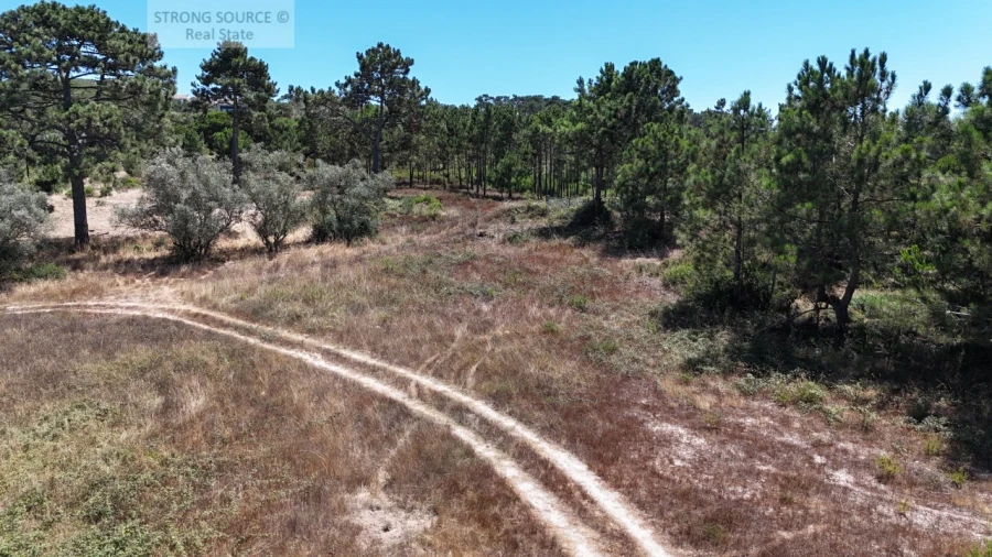 Terreno Agricola ou Rústico para Venda em Sesimbra (Castelo) Foto 12