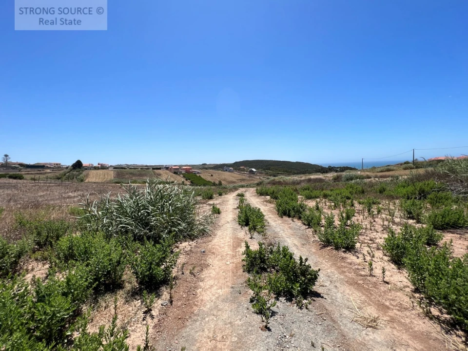 Terreno para Venda em Lourinhã e Atalaia Foto 3