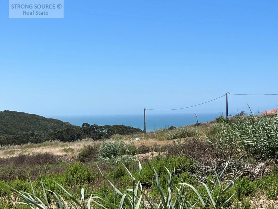 Terreno para Venda em Lourinhã e Atalaia Foto 6
