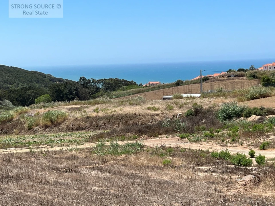 Terreno para Venda em Lourinhã e Atalaia Foto 11