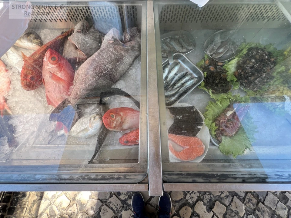 Moradia T3 para Venda em Sesimbra (Santiago) Foto 146