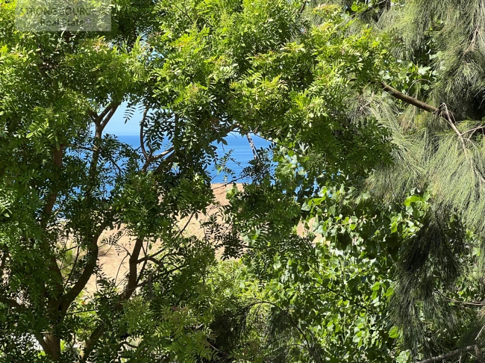 Moradia T3 para Venda em Sesimbra (Santiago) Foto 100