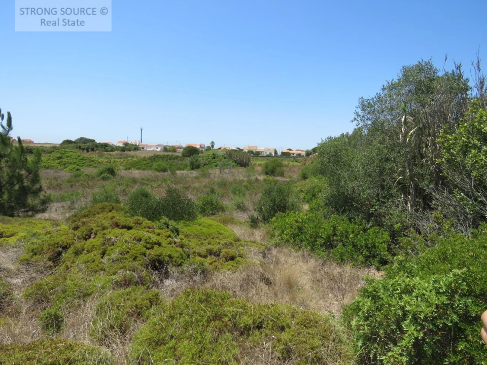 Terreno Misto para Venda em Sesimbra (Castelo) Foto 11