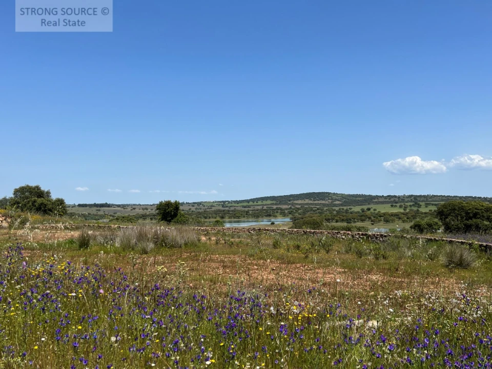 Quinta T6 para Venda em Torrão Foto 153