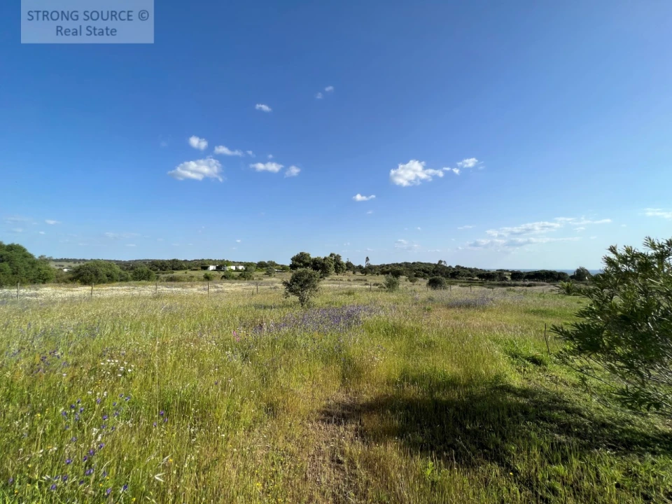 Quinta T6 para Venda em Torrão Foto 175