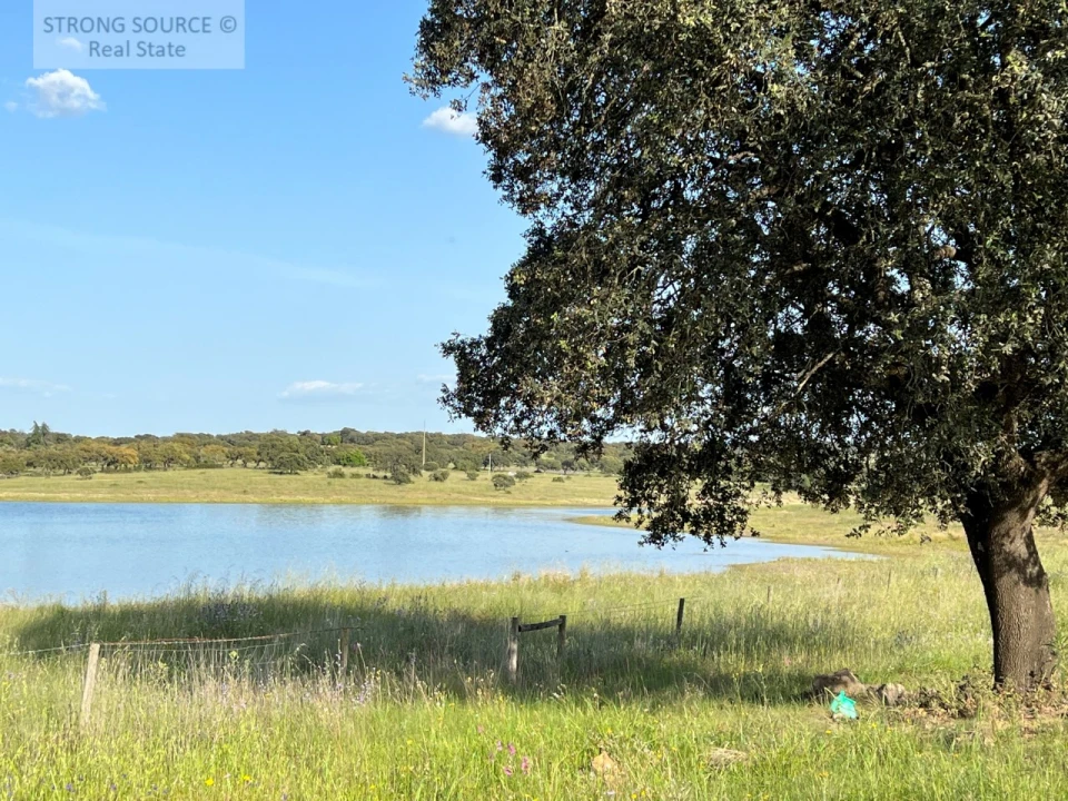Quinta T6 para Venda em Torrão Foto 210