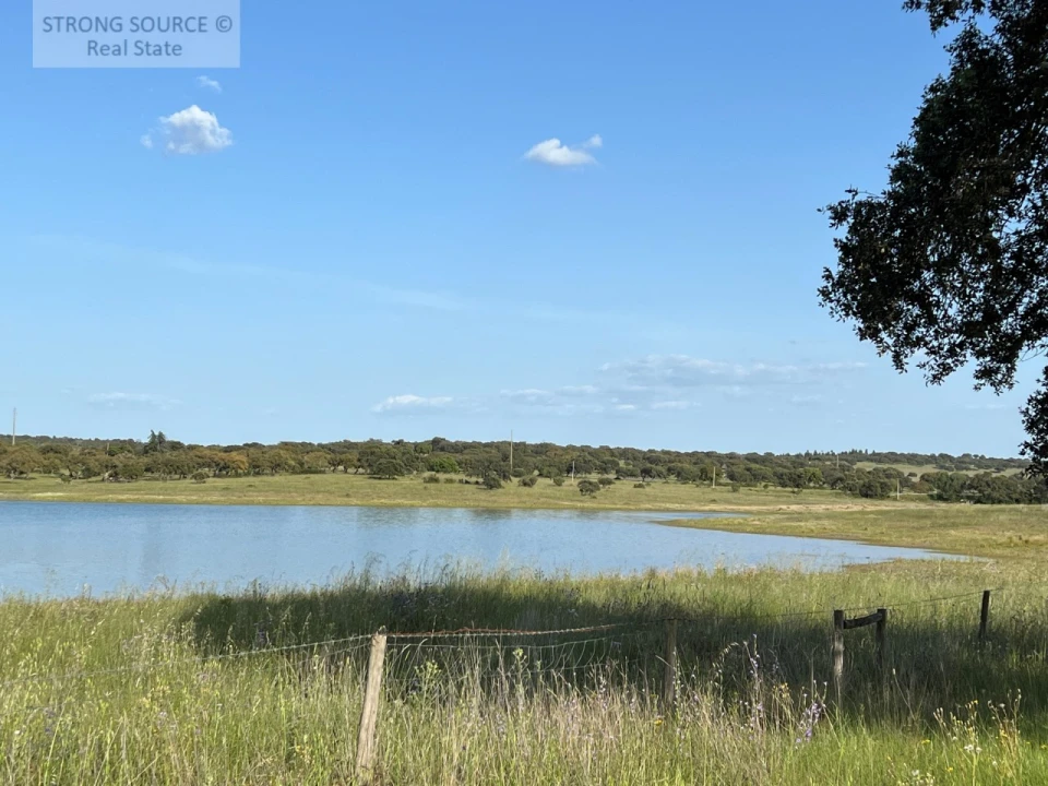 Quinta T6 para Venda em Torrão Foto 211