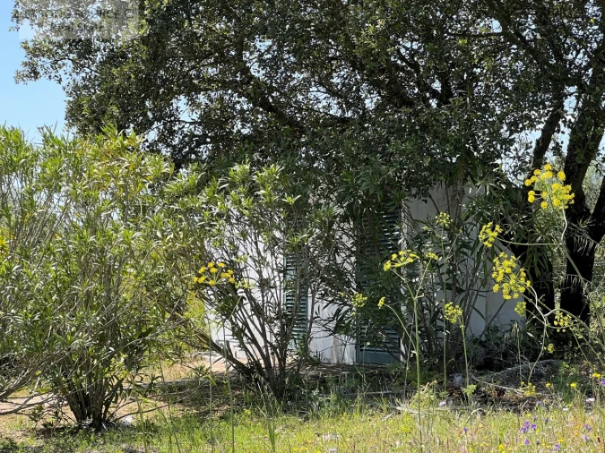 Quinta T6 para Venda em Torrão Foto 146