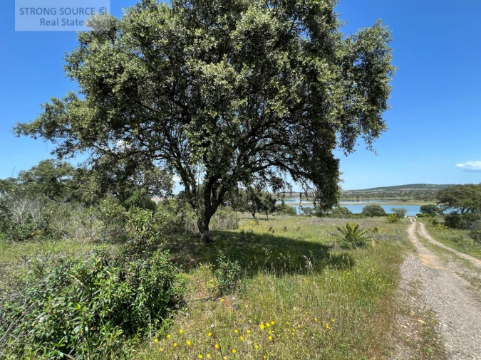 Quinta T6 para Venda em Torrão Foto 162