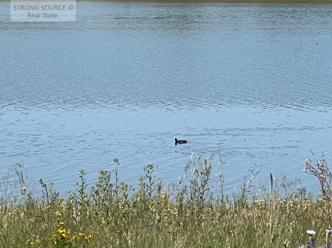 Quinta T6 para Venda em Torrão Foto 171