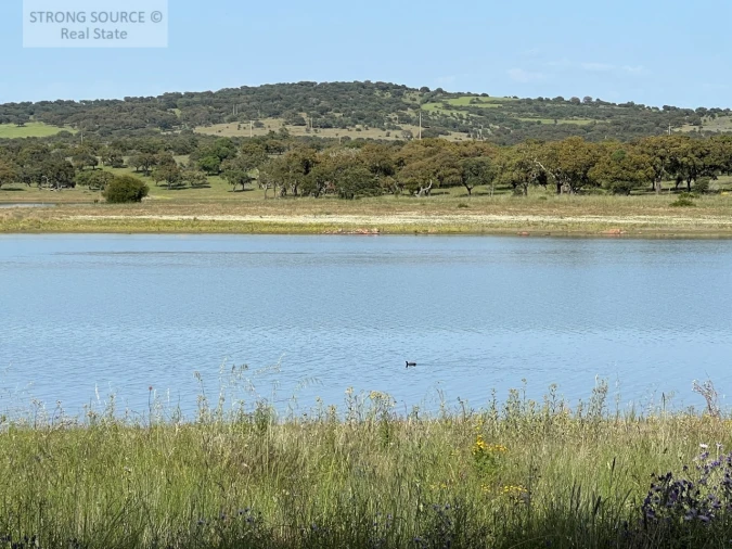 Quinta T6 para Venda em Torrão Foto 173