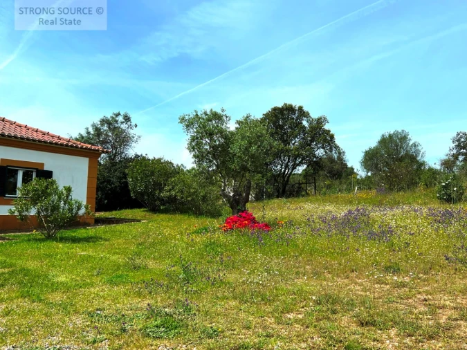 Quinta T6 para Venda em Torrão Foto 202