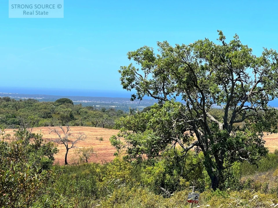Terreno para Venda em Melides Foto 1