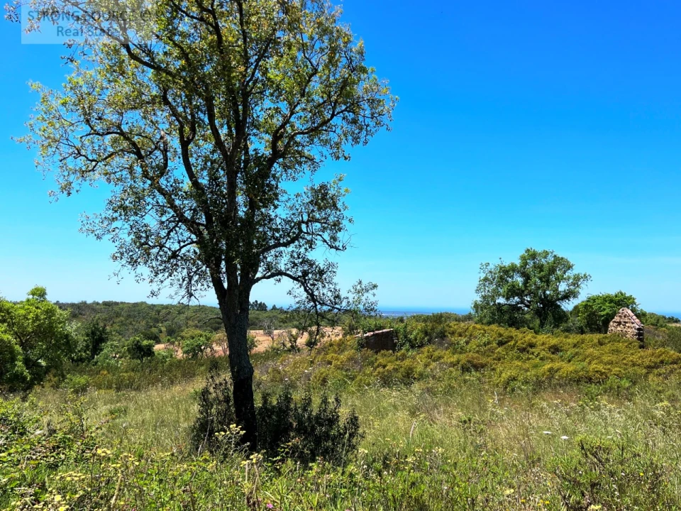 Terreno para Venda em Melides Foto 6