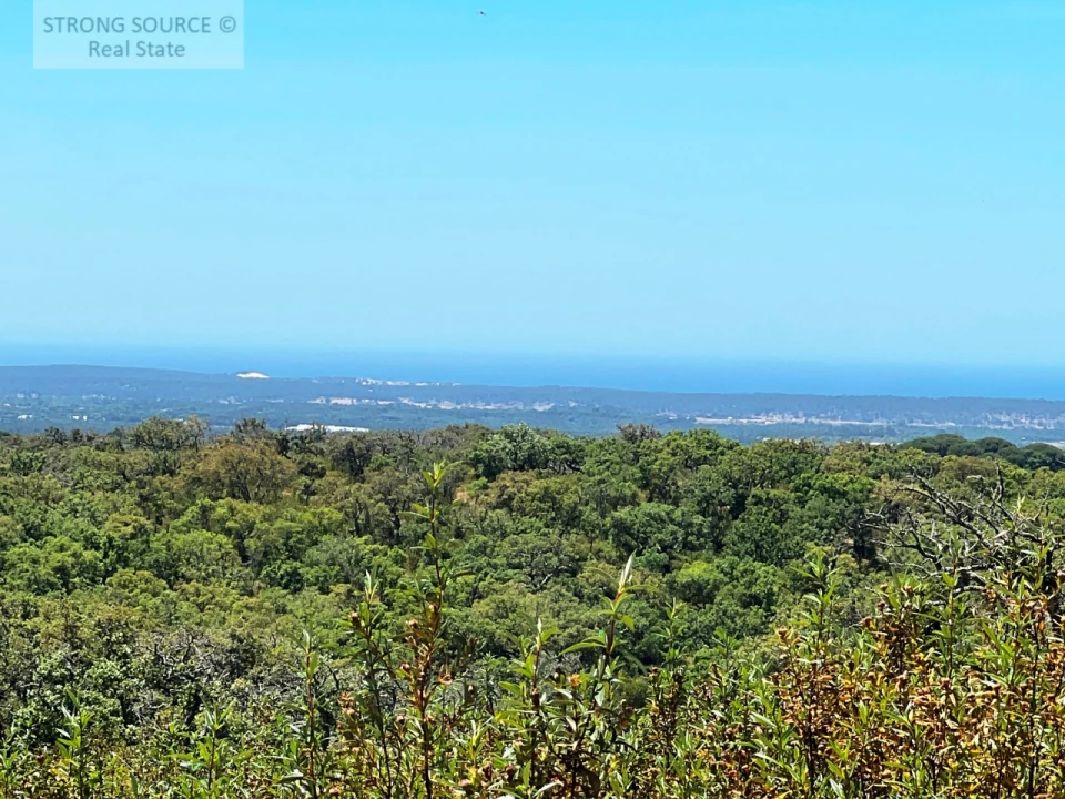 Terreno para Venda em Melides Foto 8